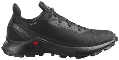 Product Image for SKO ALPHACROSS GTX SVART 45